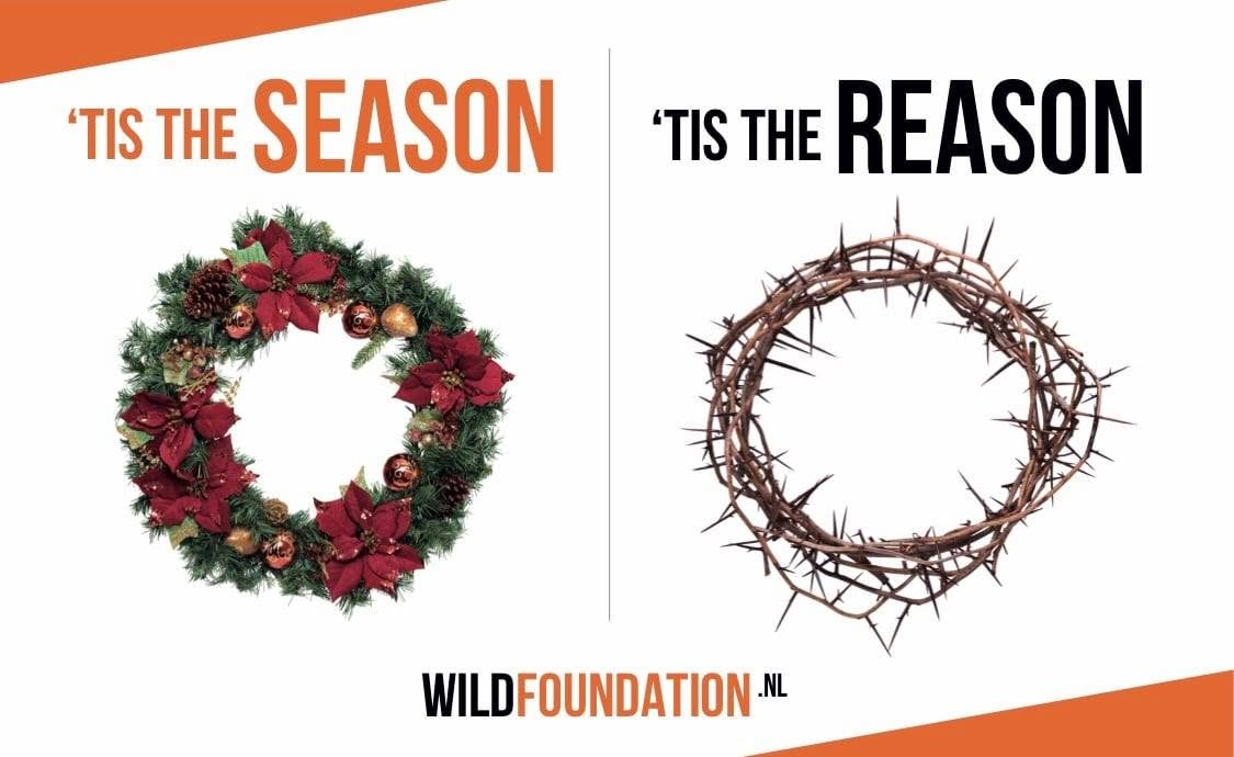 Campagnebeeld 'Tis the season — 'Tis the reason van WILD Foundation